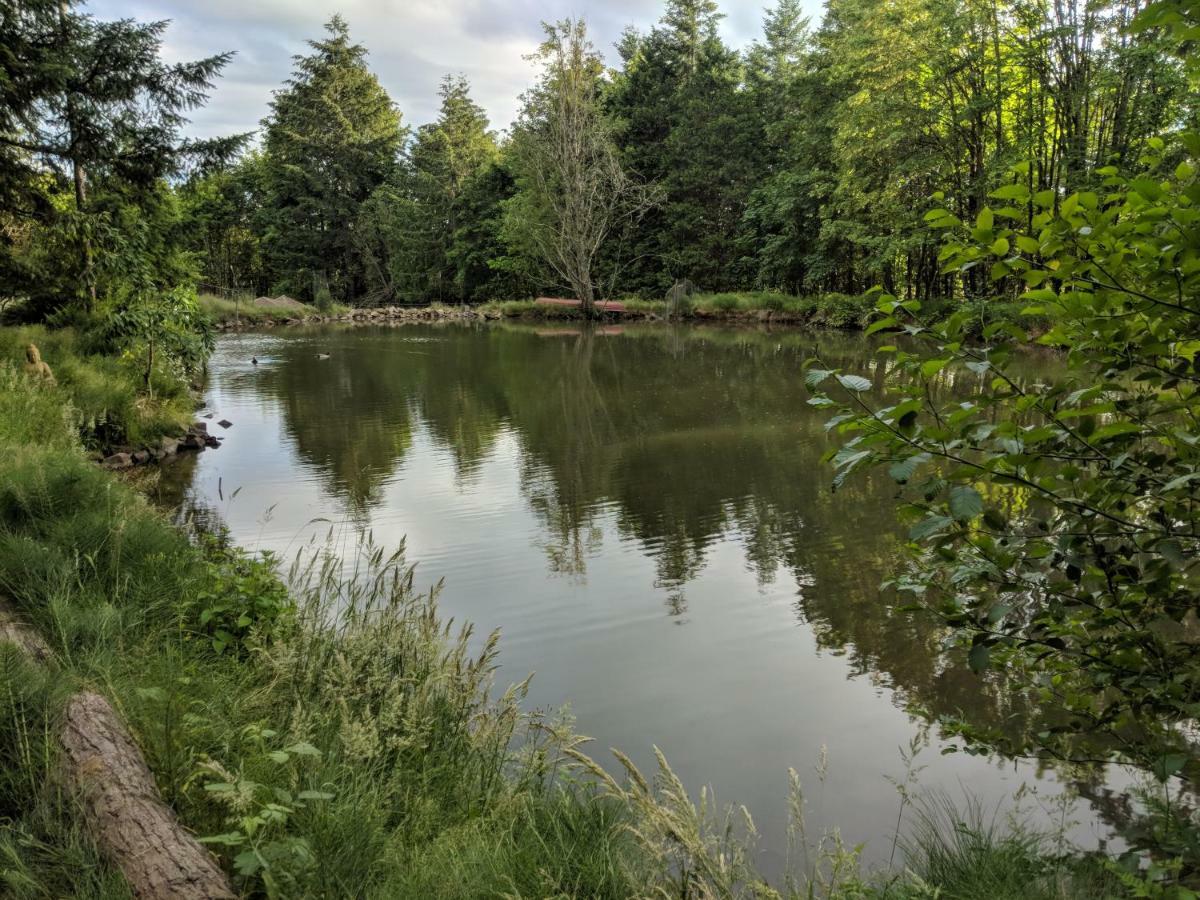 Healing Ponds Farm Buxton Exterior foto